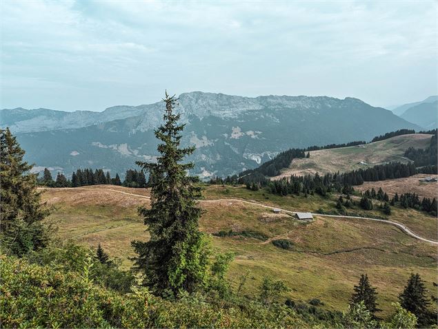 Trail de l'Aigle - OT de Manigod