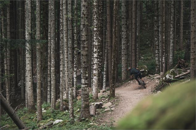 Enduro Tarentaise by Evolution 2