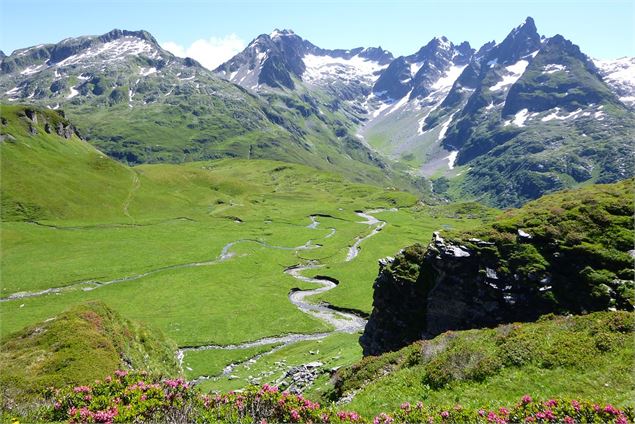 Visite de la maison de la réserve : Passy Plaine-Joux_Passy