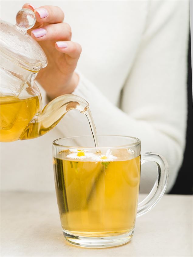 Tisane - libre de droit