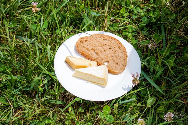Dégustation de fromages - Office de Tourisme du Val d'Arly