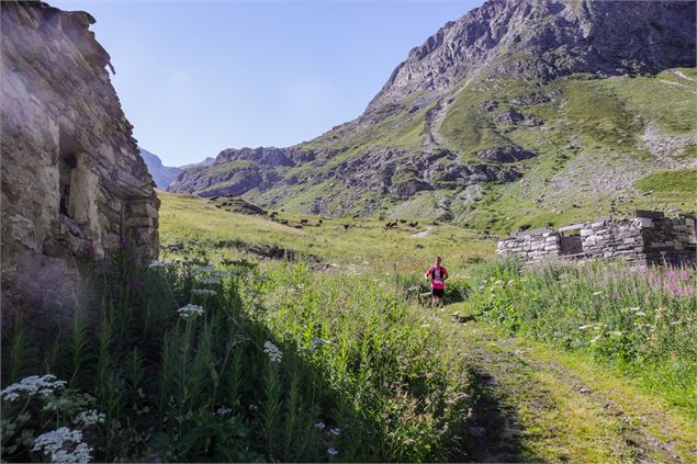 Trail Odyssea été - Val d'Isère - Cyrille Quintard