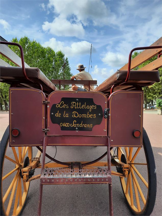 Châtillon, le temps d'une balade en calèche_Châtillon-sur-Chalaronne - Clara Darget-Lacoste