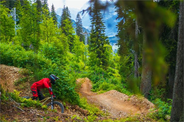 DH Kids Camp