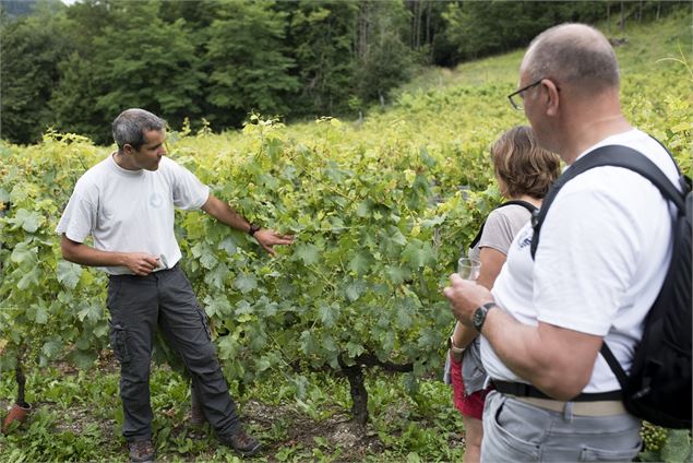 Visite guidée du vignoble de Féternes et ses châteaux - CCPEVA