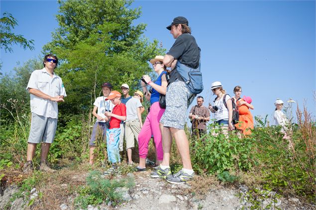 Visite de la réserve naturelle du delta de la Dranse - P.Thiriet