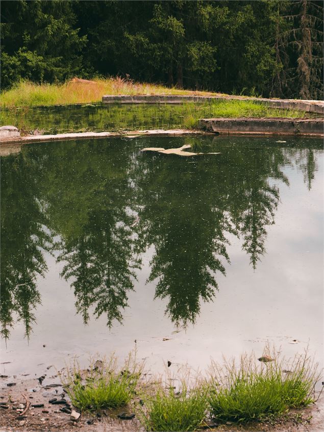 Le Sentier des contemplations - Courchevel Le Praz_Courchevel - Courchevel Tourisme