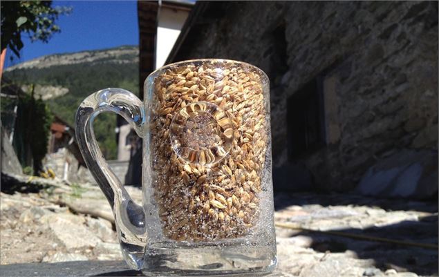 Bière des Sources de Vanoise à Villarodin-Bourget - Tim Margueron