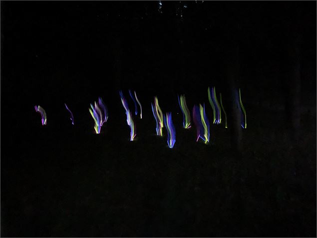 Surprenant Festival : parcours poétique nocturne en forêt - Au creux des arbres - Méribel Tourisme