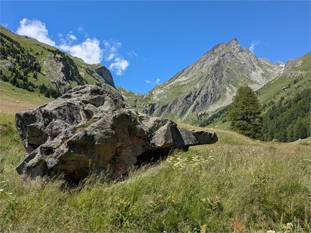 Vallon de l'Orgère - Olivier Guizy - PNV