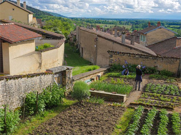 Treffort, village pittoresque_Val-Revermont - David Genestal