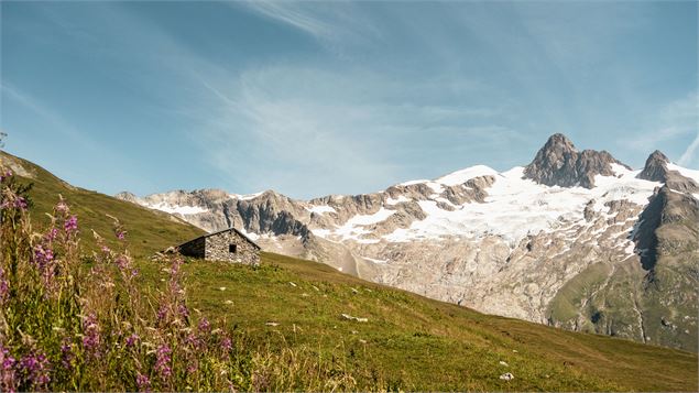 La vallée des Glaciers et l'Aiguille des Glaciers - M. Reyboz - AB Tourisme