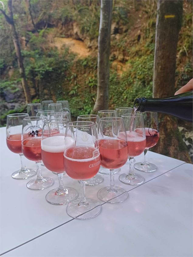 Vin pleine nature - ENS Corveissiat©Pierre Jayat LT (26)