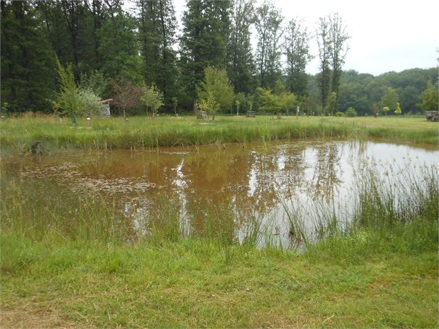 Arboretum, la nature se raconte, écoutez-là !_Bresse Vallons - ©Arbres et nature