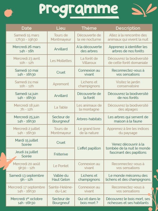 Sortie nature : découverte des papillons de nuit et des insectes