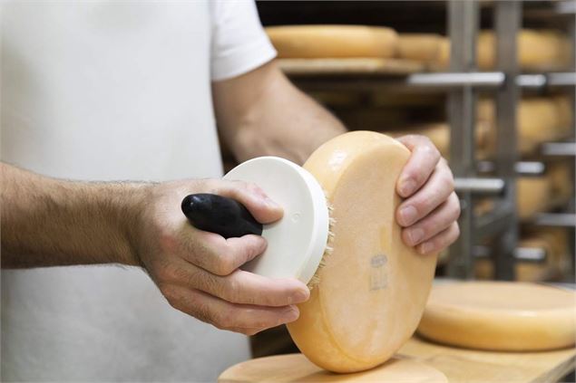 De la vache au fromage