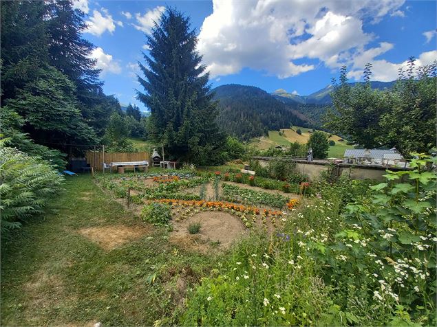 Visite guidée : les jardins d'Arêches_Arêches-Beaufort - Fondation Facim - Martine Viallet-Detraz