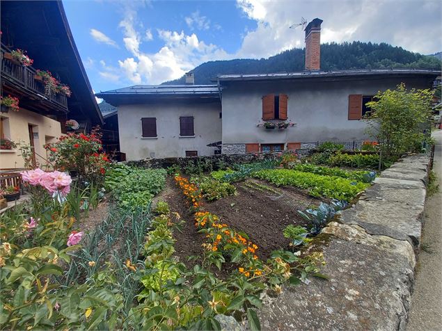 Visite guidée : les jardins d'Arêches_Arêches-Beaufort - Fondation Facim - Martine Viallet-Detraz