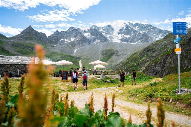 Brunch à l'alpage de Sery - Raphaël Surmont