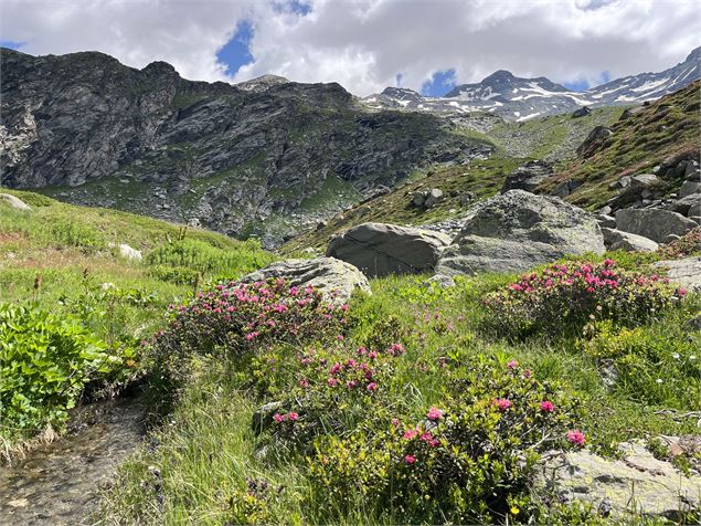 Balade découverte de la montagne_Orelle