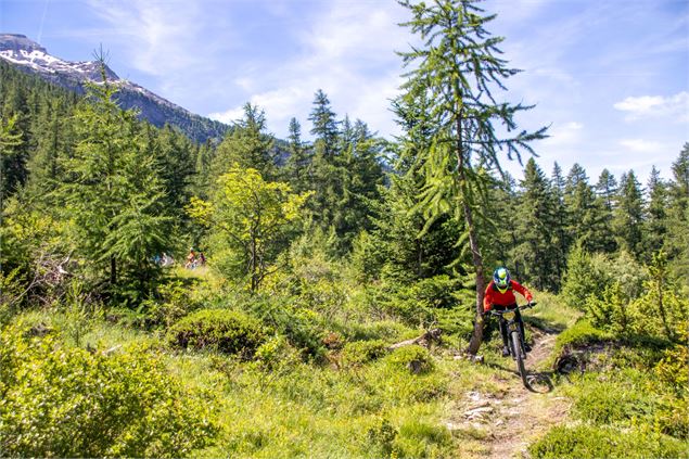 Un concurrent sur un sentier forestier - LVO