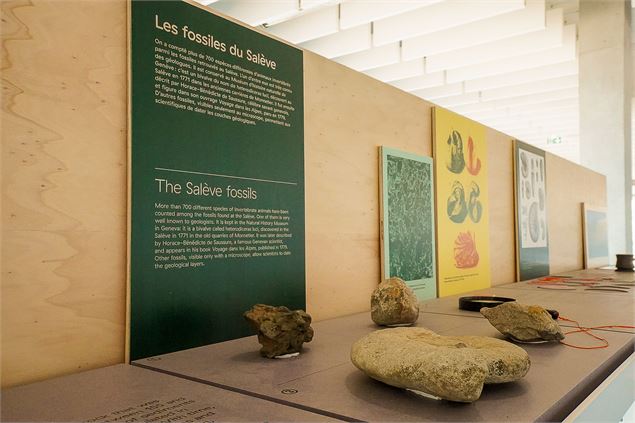Exposition - Le salève secret_Monnetier-Mornex - Telephérique du Salève