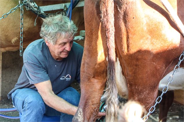 Agriculteur à la traite - © OT Saint Sorlin d'Arves - V Bellot-Mauroz