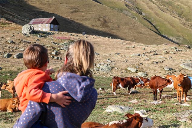 Famille face aux vaches - © OT Saint Sorlin d'Arves - V Bellot-Mauroz