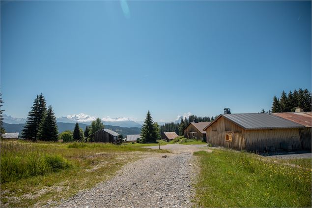 Mont Blanc et Chalets - Melanie Carle