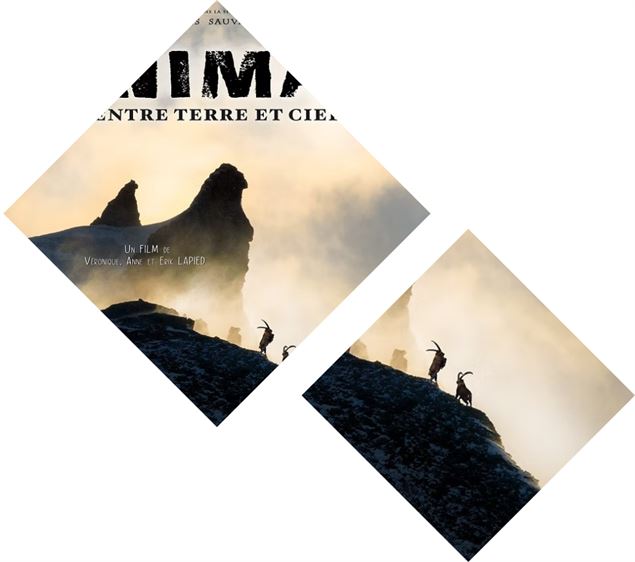 Photo paysage - Film Lapied «Animal entre terre et ciel» - Lapied Film