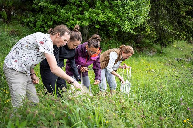 Atelier cuisine aux plantes sauvages_La Clusaz