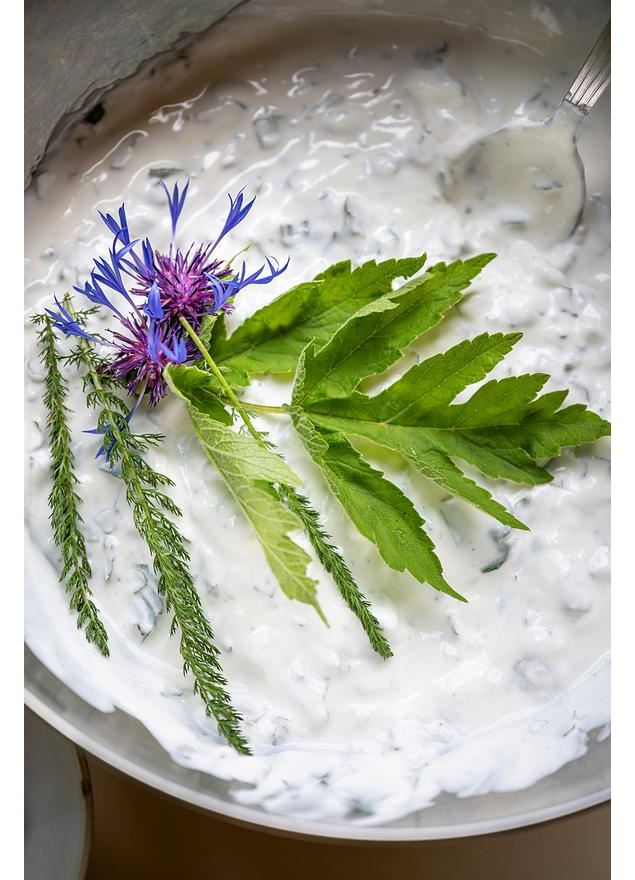 Atelier cuisine aux plantes sauvages_La Clusaz