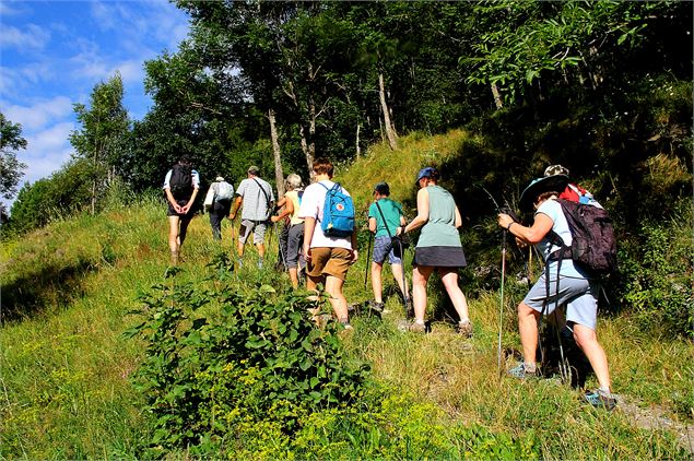 Découverte sentier de rando - Mairie de Séez
