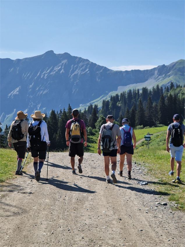Découverte de la faune et de la flore - Balade avec un guide - Domaine Skiable de Megève