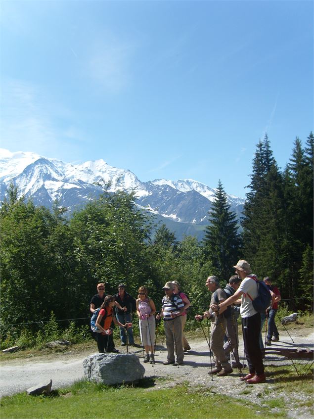 Initiation à la marche nordique - Balade avec un guide_Megève - @Bureau des guides