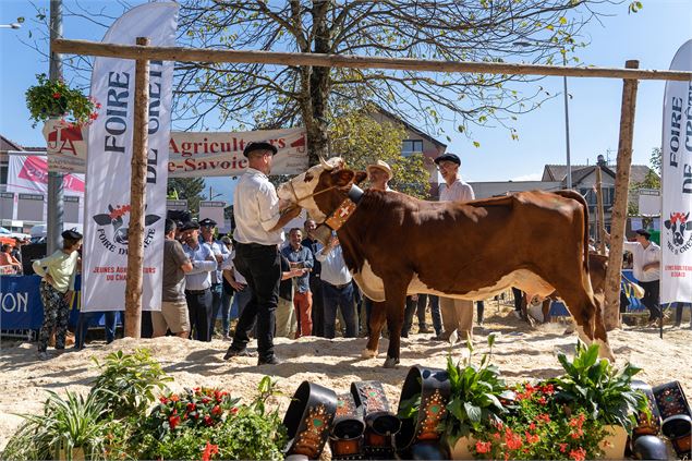 Foire de Crête_Thonon-les-Bains - Ville de Thonon