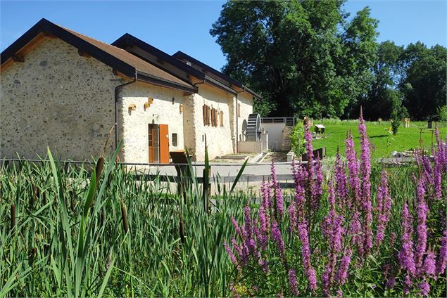Moulin de Carra_Ville-la-Grand - Atelier artistique : cyanographie végétale_Moulin de Carra_Ville-la