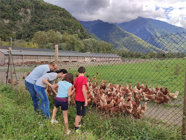 Adoptez une poule_Val-d'Arc - Adoptez une poule_Val-d'Arc