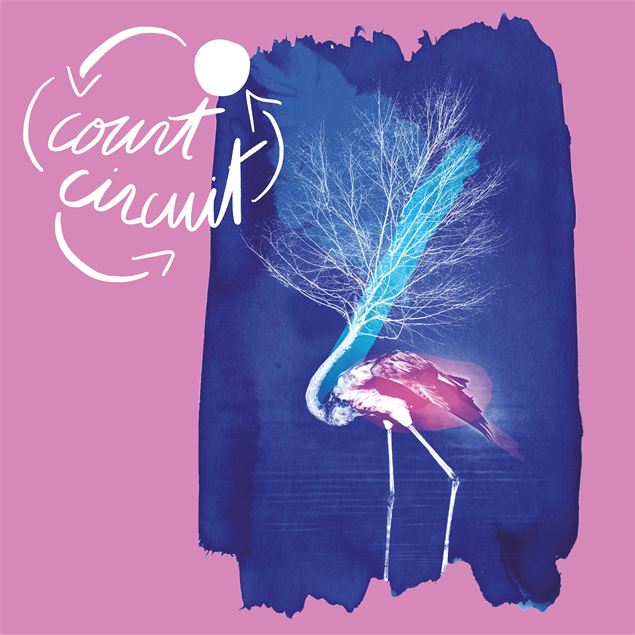 Court Circuit #6 - DR