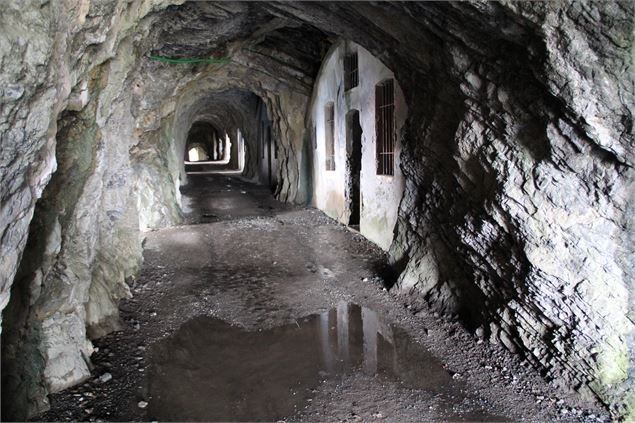 Fort de Tamié