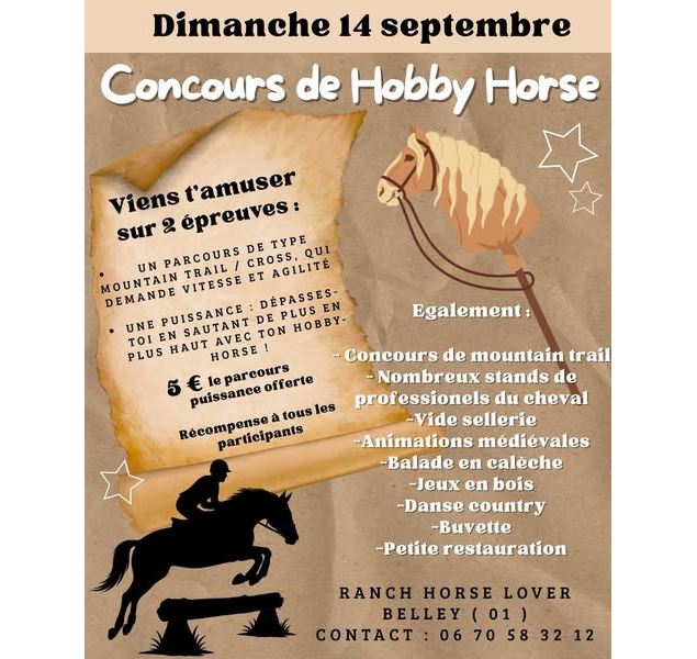 Concours de Hobby Horses - Les Toqués du Sabot