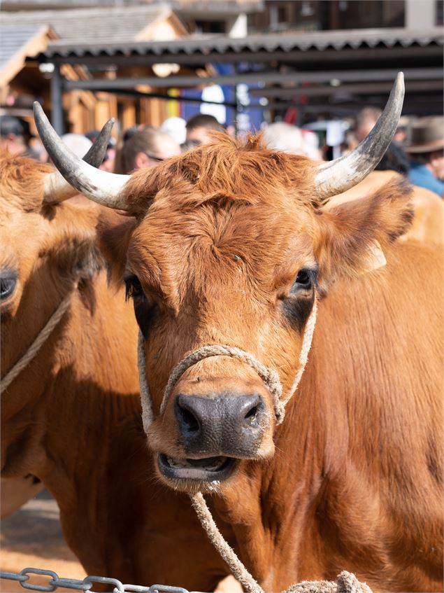 Annulé : Foire de la Croix