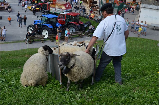 Annulé : Foire de la Croix
