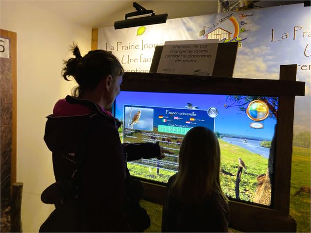 découverte interactive des oiseaux - Maison de l'eau et de la nature