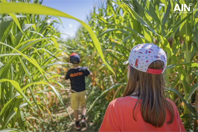 Visite flash du Domaine de Saveurs_Saint-Cyr-sur-Menthon