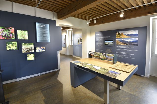 Musée de la vigne et du vin de Savoie_Montmélian - Alpigraphie