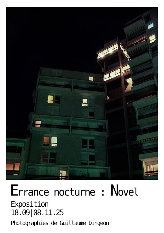 Exposition Errance nocturne : Novel_Annecy - Guillaume Dingeon