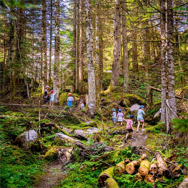 Canapé forestier - Association Learn in nature