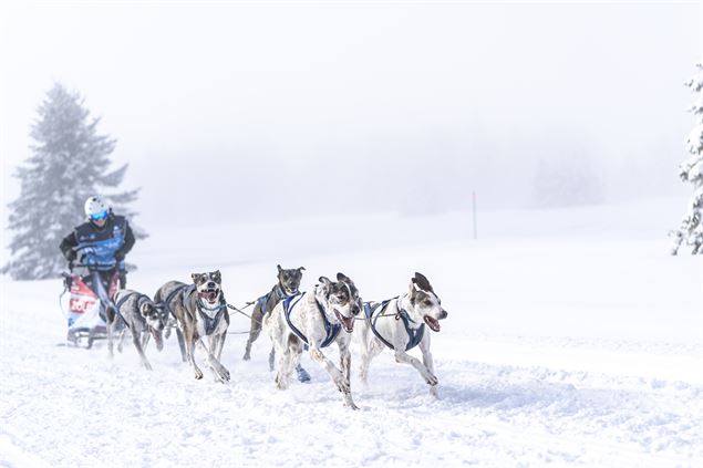La Grande Odyssée aux Karellis - Romain Tissot