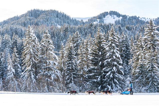 La Grande Odyssée aux Karellis - Romain Tissot